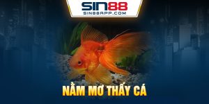 Nằm mơ thấy cá