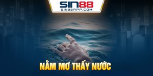 Nằm mơ thấy nước