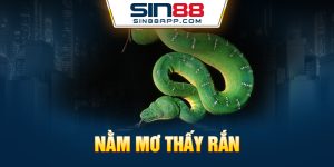 nằm mơ thấy rắn