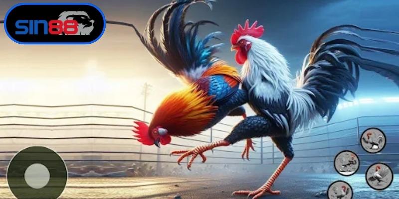 Bí quyết đặt cược mang lại hiệu quả cao nhất