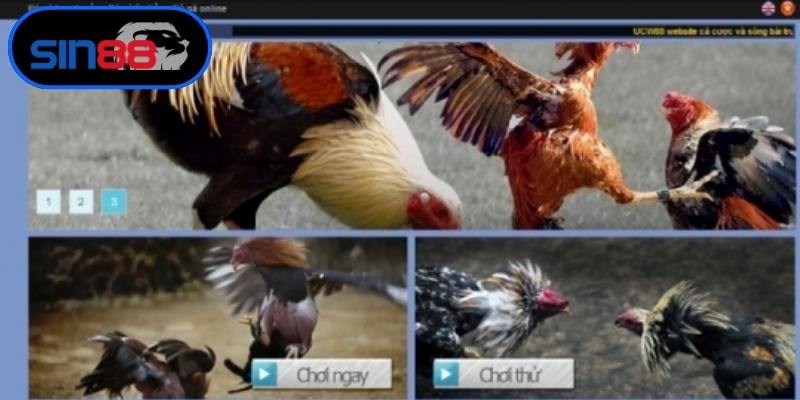 Đa dạng hóa kênh thanh toán nhận thưởng linh hoạt