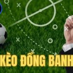 Bí kíp chiến thắng khi tham gia đặt cược hòa