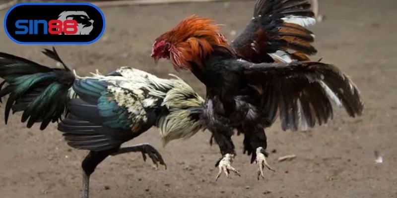 Lợi ích khi tham gia bắn cá đổi thưởng uy tín