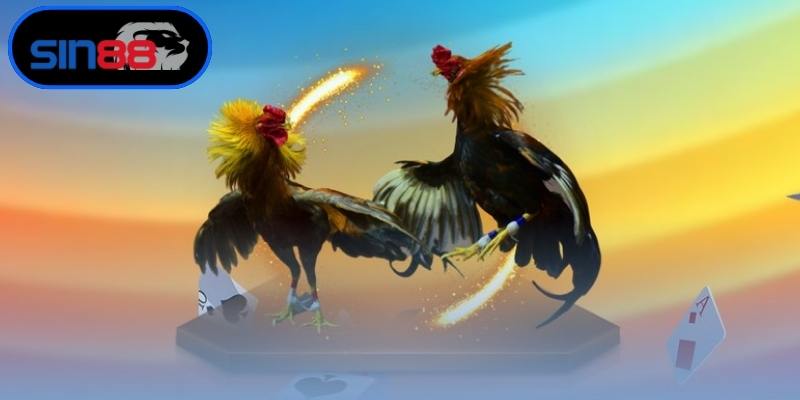 Trang đá gà uy tín